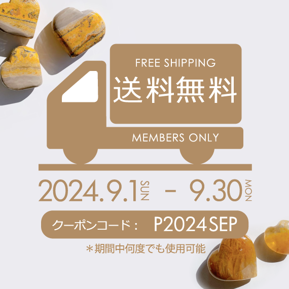 送料無料キャンペーン開催！2024.09